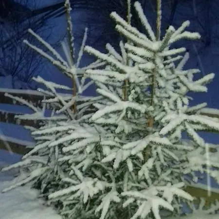 шепіт лісу 아파트