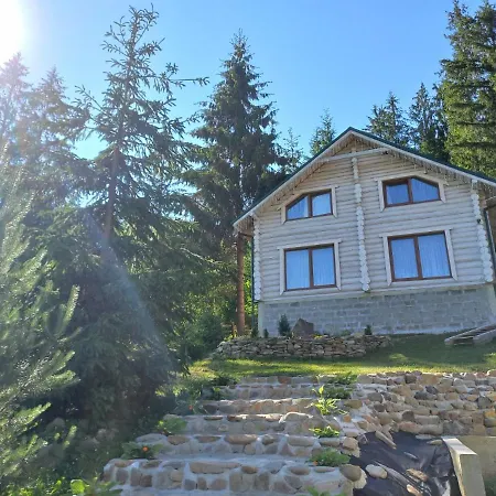 шепіт лісу 라제슈치나