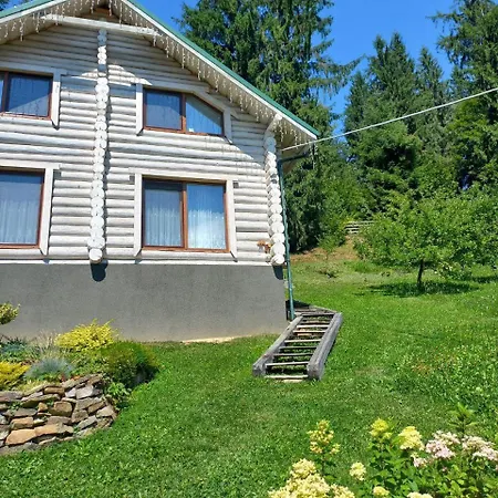 아파트 шепіт лісу *