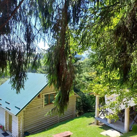 шепіт лісу Lazeshchyna