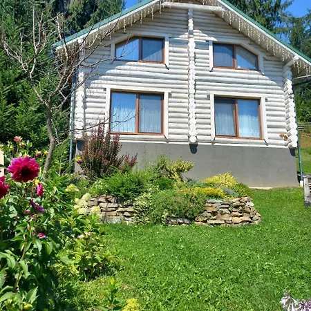 Apartamento шепіт лісу